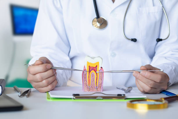 Best Urgent Care for Lost Fillings or Crowns in Sans Souci, SC